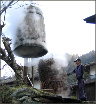 三椏（みつまた）の原木が蒸しあがったところ