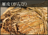 雁皮（がんぴ）見本画像