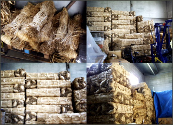 当店倉庫内画像