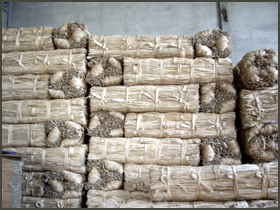 三椏（みつまた）外国産　白皮　見本画像