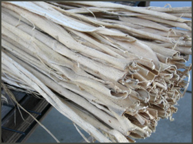 三椏（みつまた）外国産　白皮　拡大見本画像